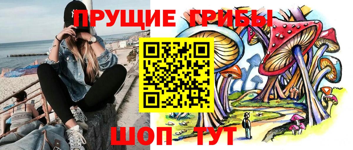 Кстово  Псилоцибиновые грибы MAGIC MUSHROOMS  Вход с VPN 